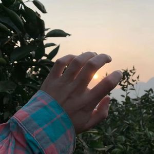 我懂她说的什么（小镇故事)