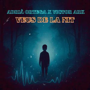 Veus De La Nit