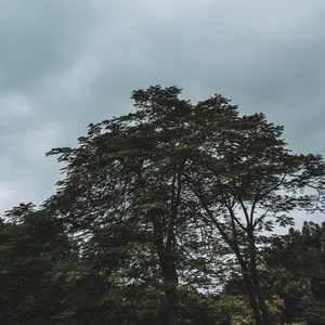 儿时的旋转木马 (钢琴曲)