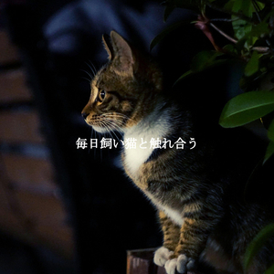 Smooth Jazz Soundtrack for Coffee in Tokyo