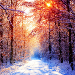 09.14（Original Mix）