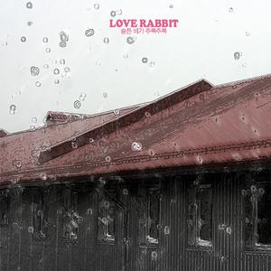 슬픈 비가 주룩주룩