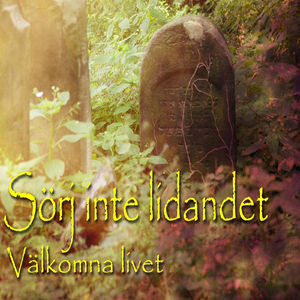 Sörj Inte Lidandet Välkomna Livet