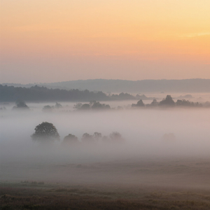 Fading Light