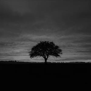 I've Never Been To Me (Piano Version)