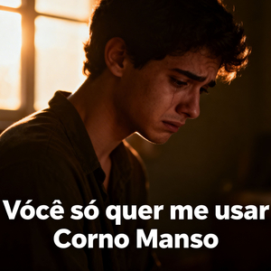 Você só quer me usar