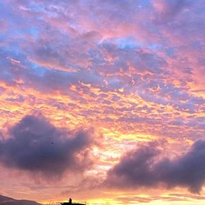 我在想demo(Prod.JACKWAVY)