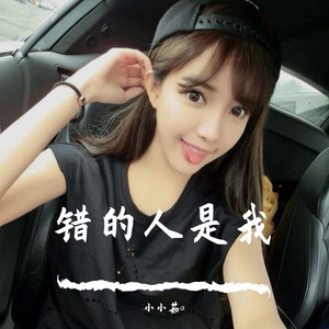 错的人是我 （0.8x降调）