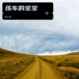 女司机