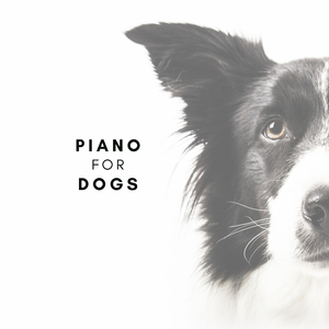 Purrs and Paws Piano Party II