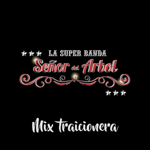 Mix Tonadas De Mi Ecuador