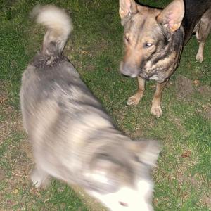 way2high (feat. BenRollN)