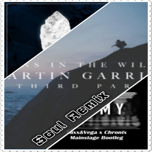 Soul - Martin Garrix & Third Party & Tony Romera & Jaxx & Vega,BL3R,Chonix Mainstage - Lions In The Wild Army Damn (Soul Mashup)