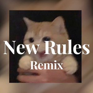 New Rules Remix