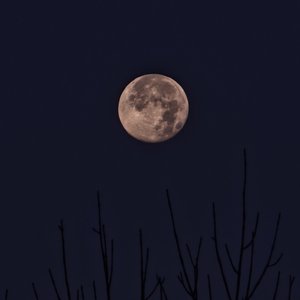 风捎来旧月光