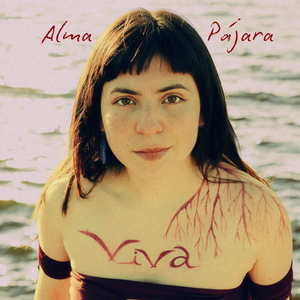 Fueron Años