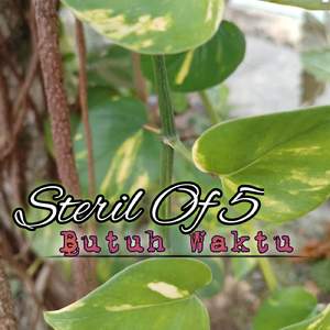 Butuh Waktu Untuk Meluluhkan Hatimu