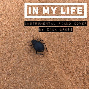 In My Life