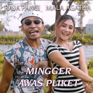 Mingger Awas pliket