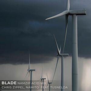 Blade (Namzip Acid Mix)