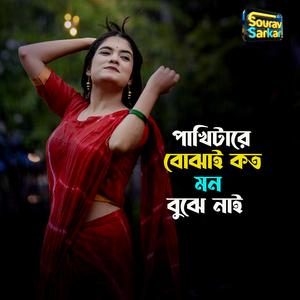 পাখিটারে বুঝাই কত মন বুঝে নাই
