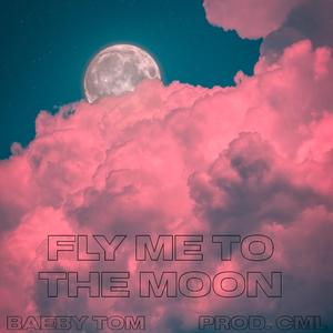 Fly me to the Moon