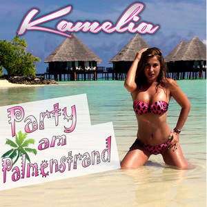 Party am Palmenstrand (DJ Mega Mix)