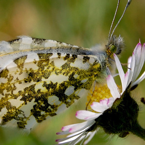 一本正经乱弹琴