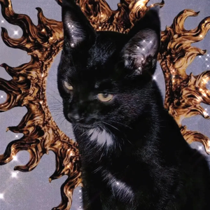 漂亮的眼睛应该流幸福的泪