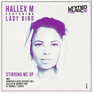 Stirring Me Up (Hallex M Journey Reprise)