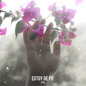 Estoy de Pie