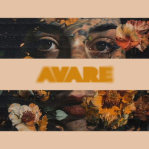 Avare