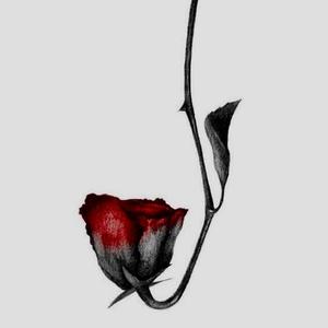 R!GHT (feat. TDBDEBO)