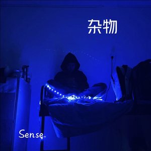 杂物