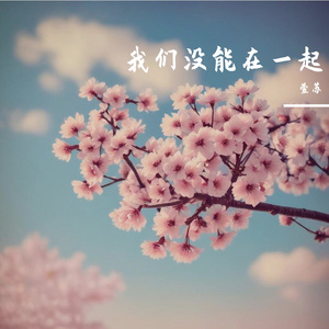 我们没能在一起