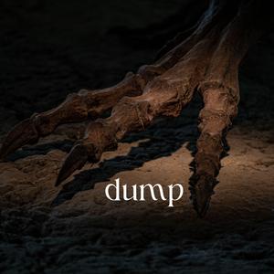 dump