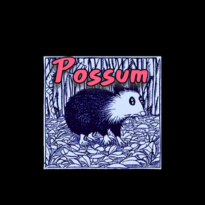 Possum