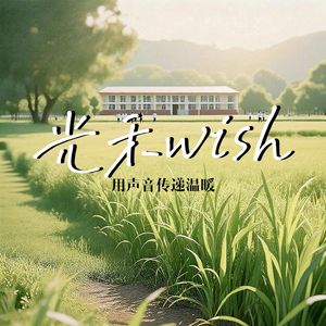 光禾WISH