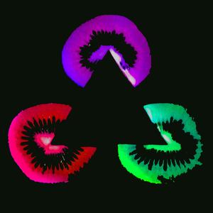 Ouroboros