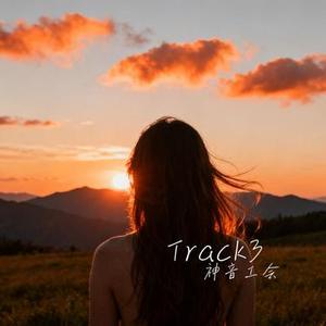 Track3 (Cover 希林娜依•高)