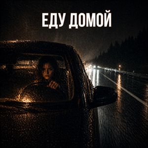Еду домой