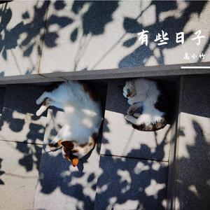 戎装闪耀青春的日子