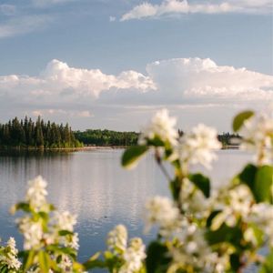 孤独的纯粹（古筝）