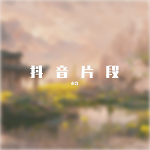 琴师（抖音版）