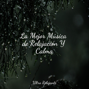 Armonía Relajante