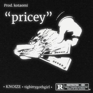 pricey (feat. tigbittygothgirl)