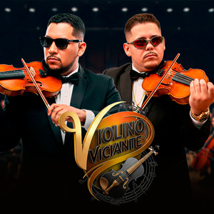 Violino Viciante