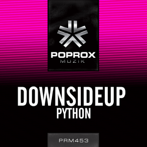 Python (Original Mix)