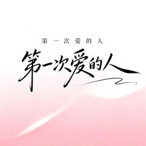 第一次爱的人（DJ版）