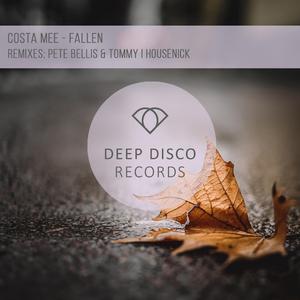 Fallen (Pete Bellis & Tommy Remix) (Pete Bellis & Tommy Remix)
